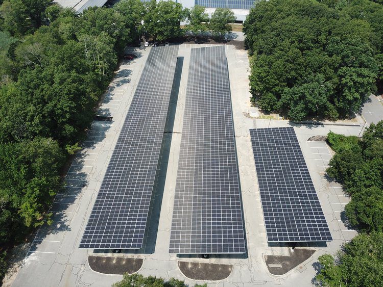 Solar panels in a forested parking lot.